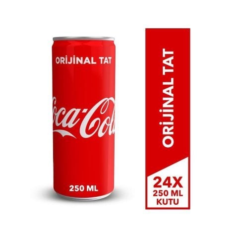 COCA COLA KUTU 250 ML*24