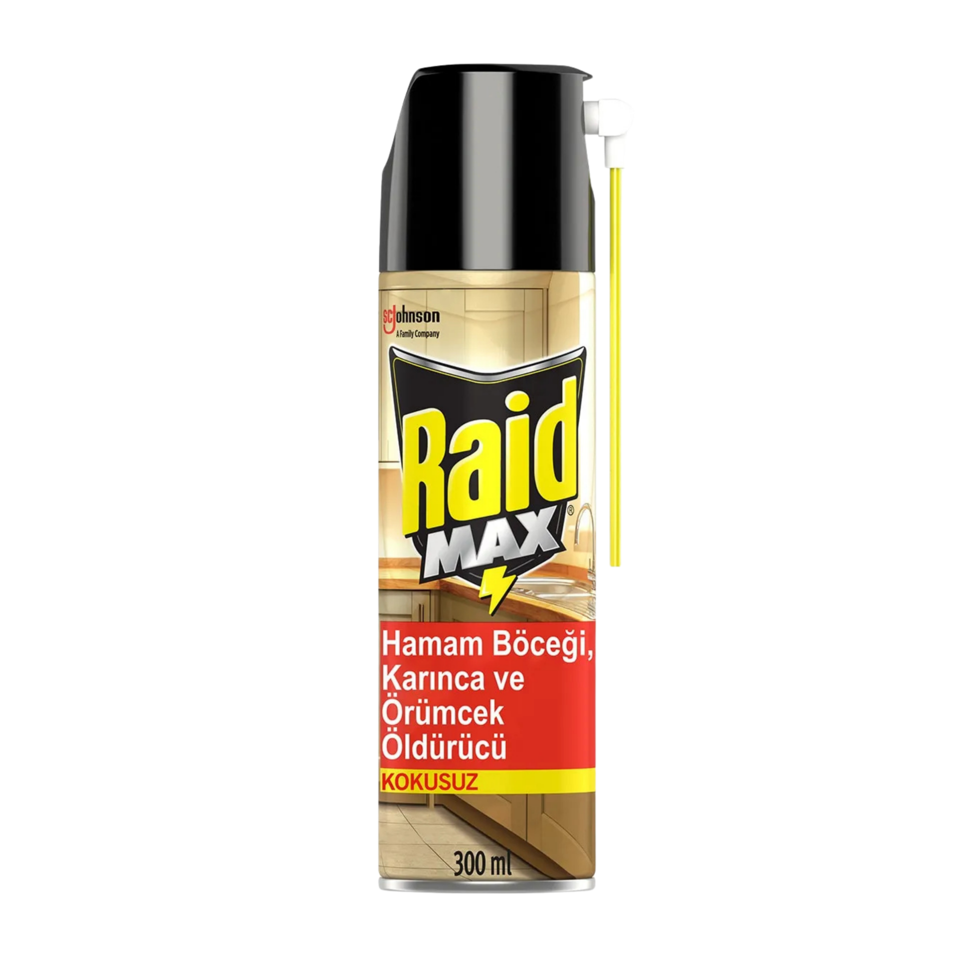 RAID BOCEK 300ML*12 SPREY