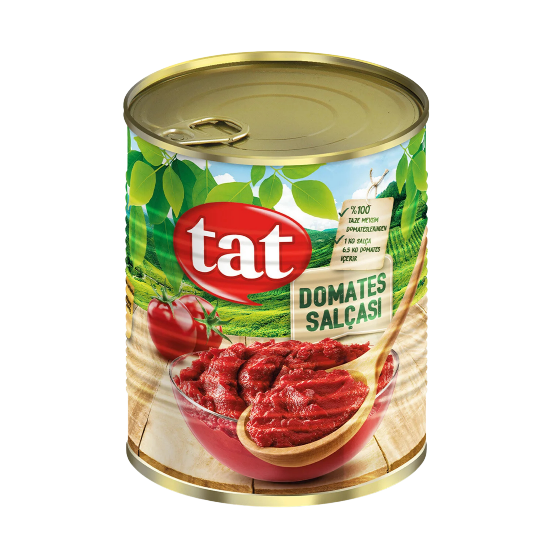 TAT SALCA 1KG*24