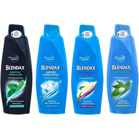 BLENDAX 500ML*6