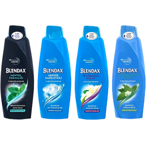 BLENDAX 500ML*6