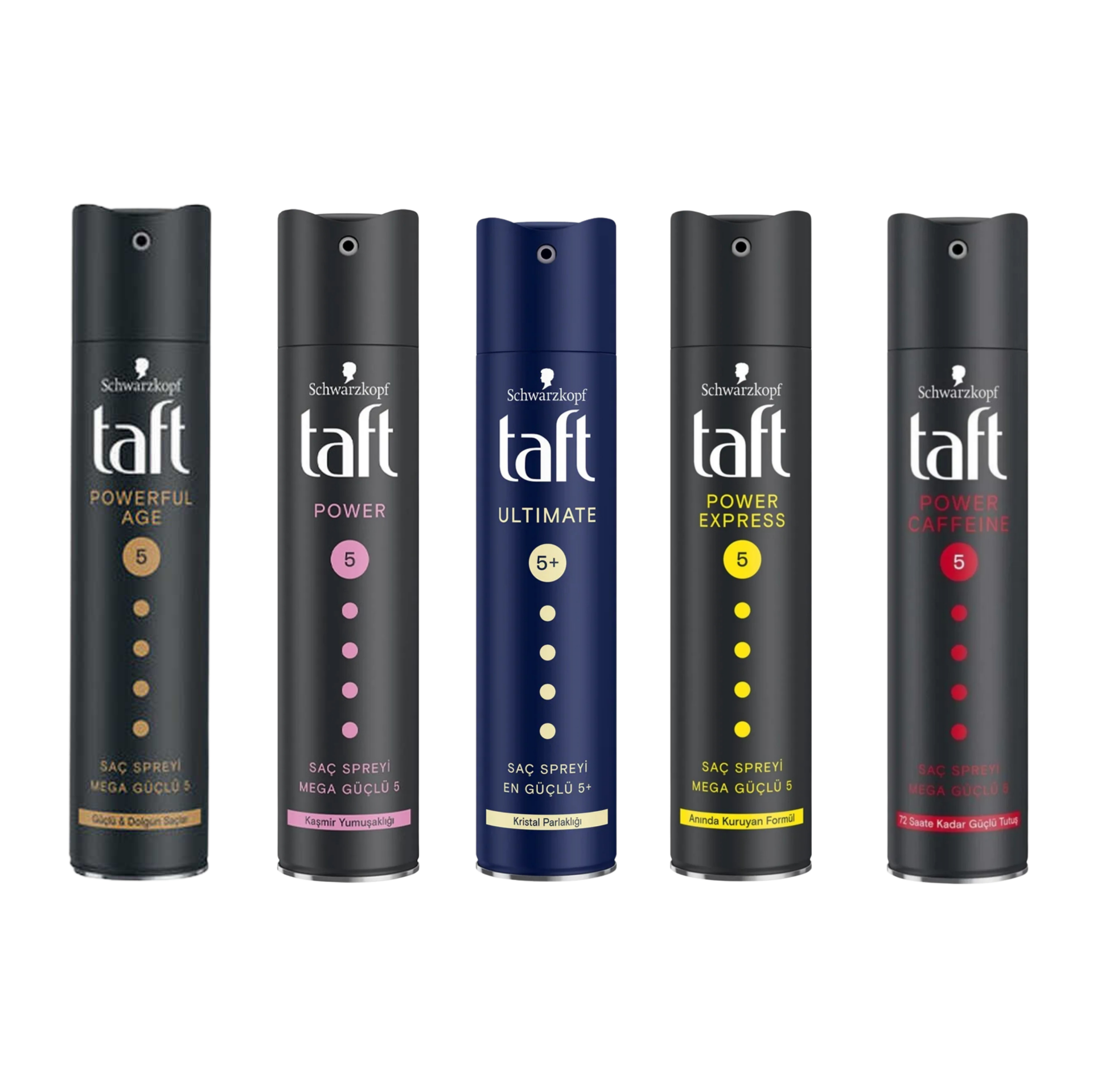SAC SPREYI TAFT 250ML(5)