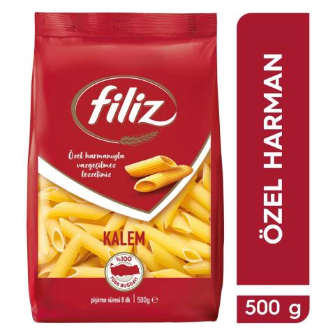 FILIZ MAKARNA KALEM*20