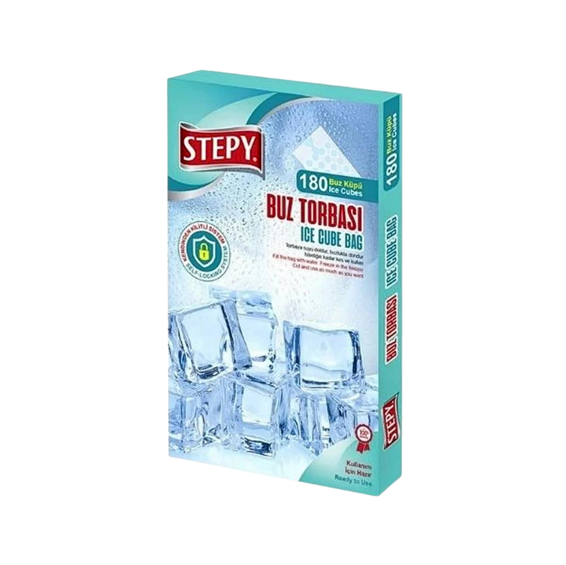STEPY BUZ TORBASI*12