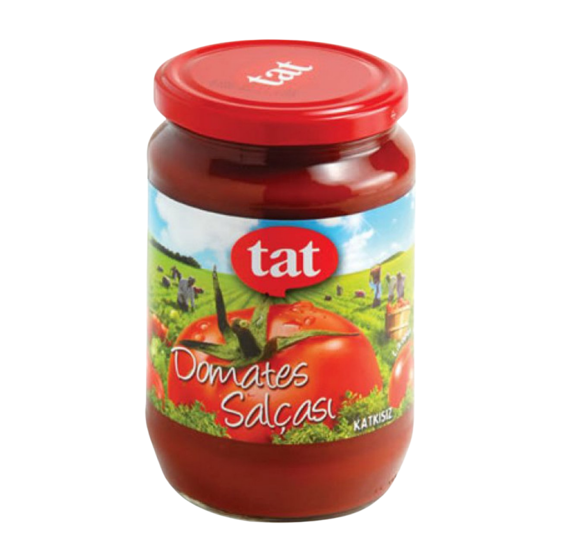 TAT SALCA CAM 360GR*12