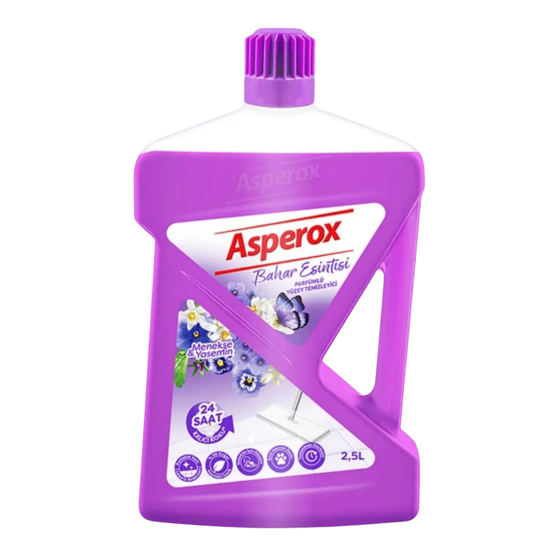 ASPEROX YÜZEY TEM. BAHAR 2.5 LT*6 MOR