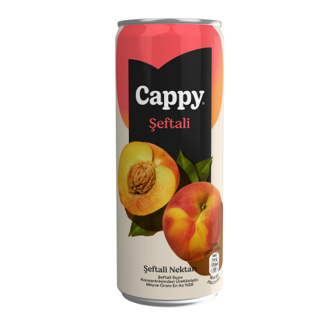 CAPPY KUTU 330ML*12 ŞEFTALİ