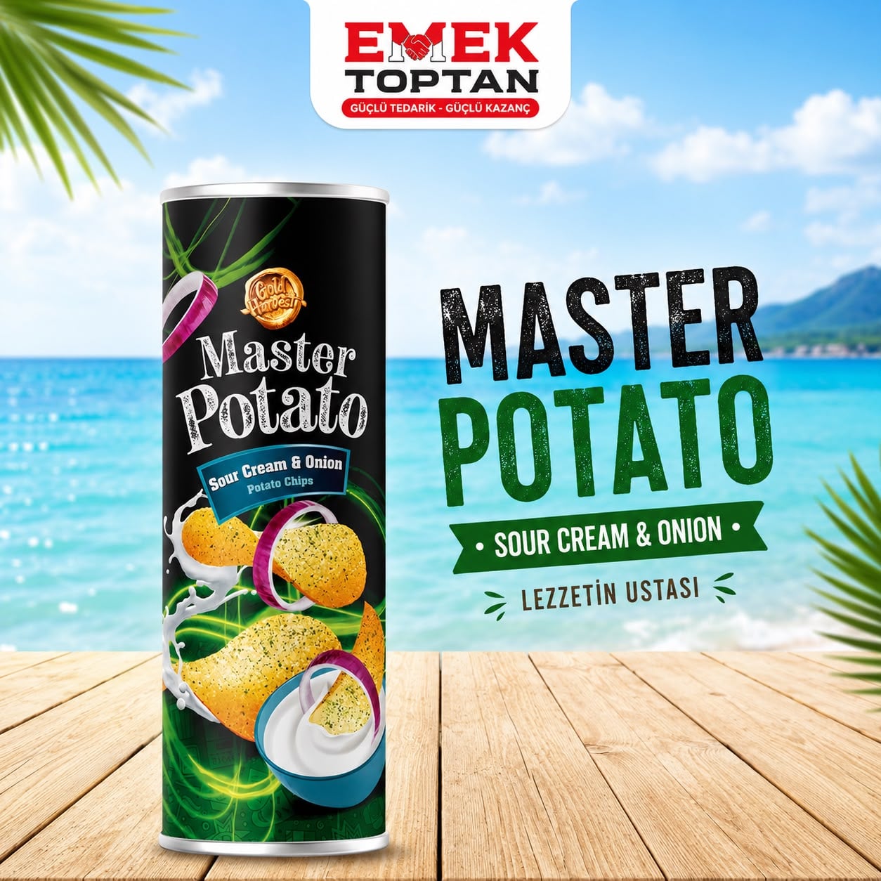 MASTER POTATO 160GR*14 KREMA VE SOĞANLI