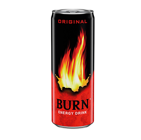 BURN KLASİK 250ML*12